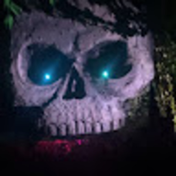 Meet your Posher, Bryana - Picture 1 of 1